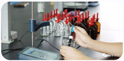 系統(tǒng)檢測(cè) 精準(zhǔn)服務(wù) 讓水產(chǎn)養(yǎng)殖更可控的信息咨詢(xún)服務(wù)